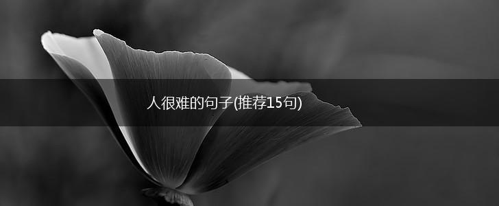 人很难的句子(推荐15句),第1张