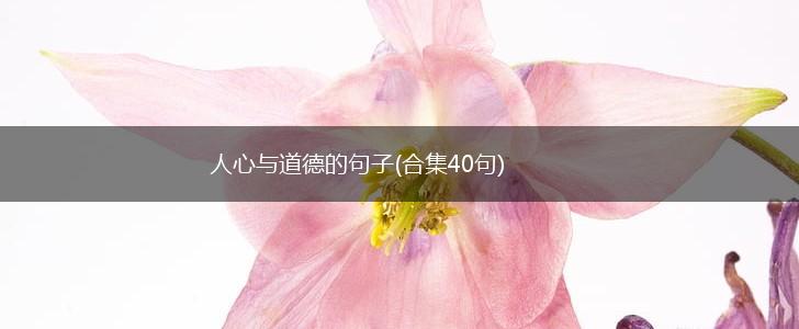 人心与道德的句子(合集40句),第1张