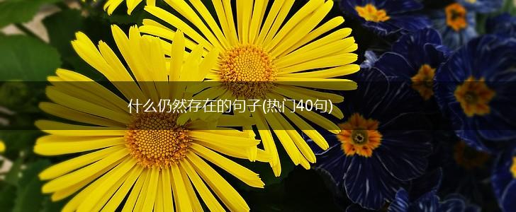 什么仍然存在的句子(热门40句),第1张