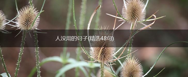 人没用的句子(精选48句),第1张