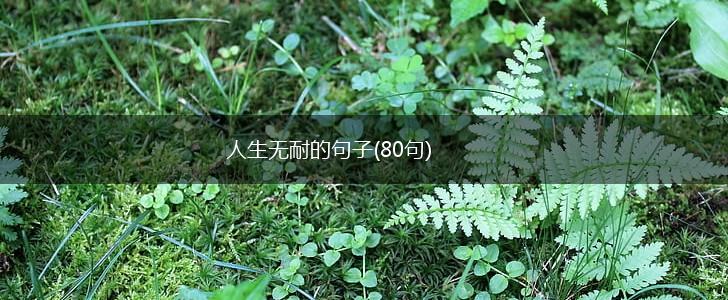 人生无耐的句子(80句),第1张