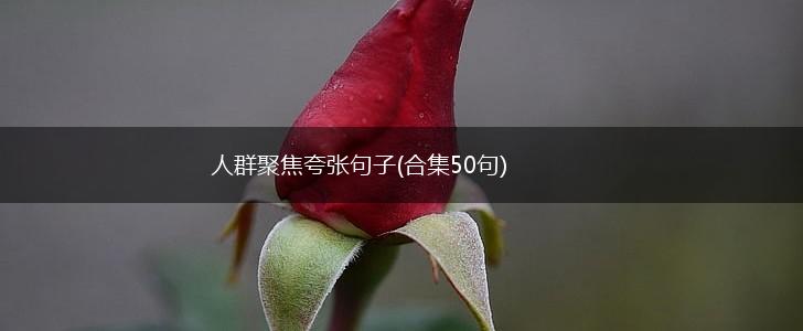人群聚焦夸张句子(合集50句),第1张