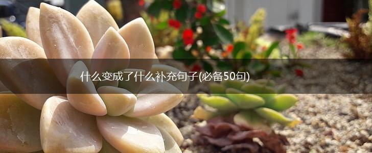 什么变成了什么补充句子(必备50句),第1张