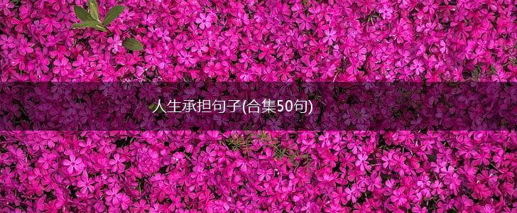 人生承担句子(合集50句),第1张