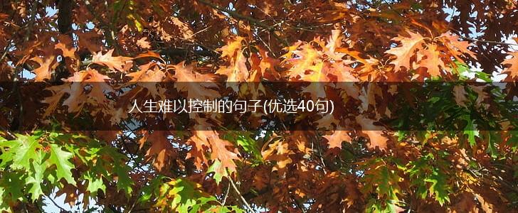 人生难以控制的句子(优选40句),第1张