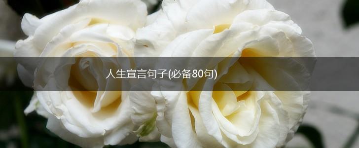 人生宣言句子(必备80句),第1张