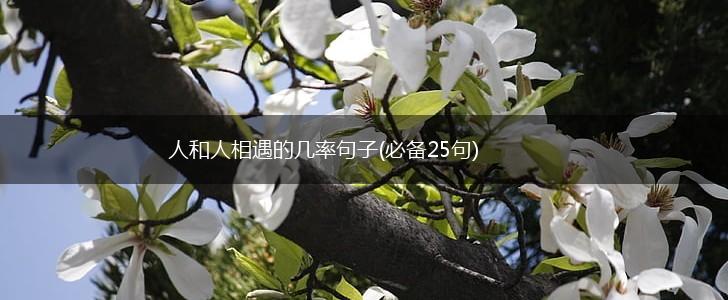 人和人相遇的几率句子(必备25句),第1张