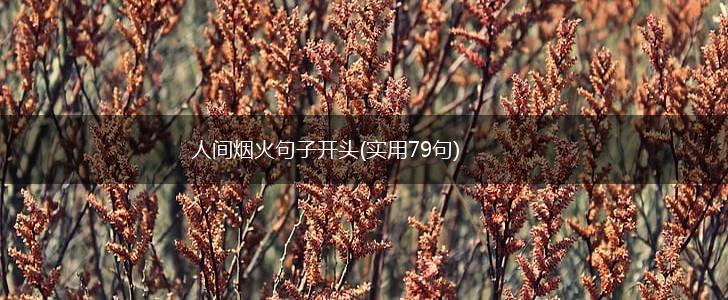 人间烟火句子开头(实用79句),第1张