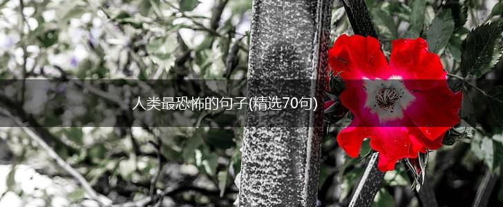 人类最恐怖的句子(精选70句),第1张