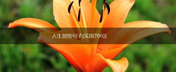 人生领悟句子(实用70句),第1张 人生领悟句子(实用70句),第1张