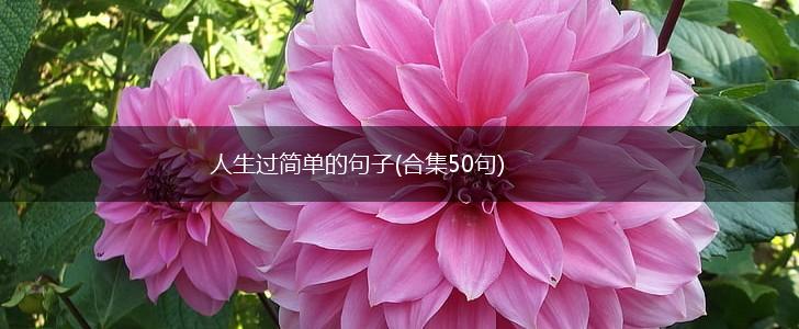 人生过简单的句子(合集50句),第1张 人生过简单的句子(合集50句),第1张