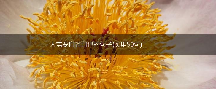 人需要自省自律的句子(实用50句),第1张 人需要自省自律的句子(实用50句),第1张