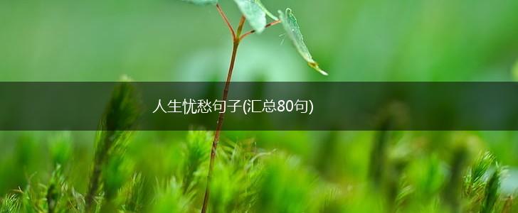 人生忧愁句子(汇总80句),第1张