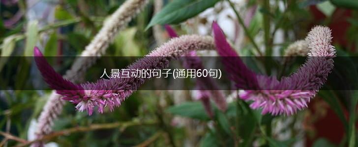 人景互动的句子(通用60句),第1张