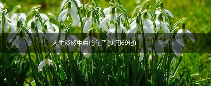 人生淡然中庸的句子(实用69句),第1张