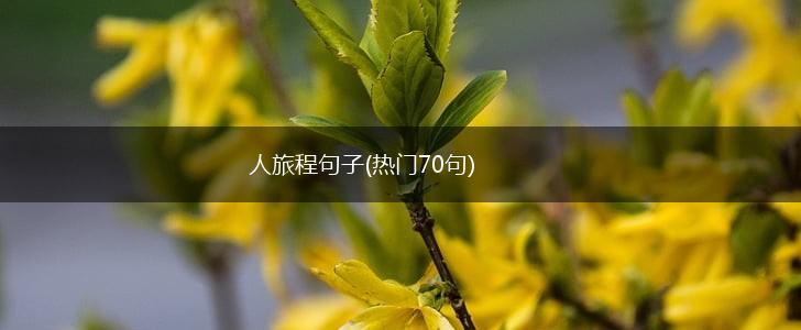 人旅程句子(热门70句),第1张