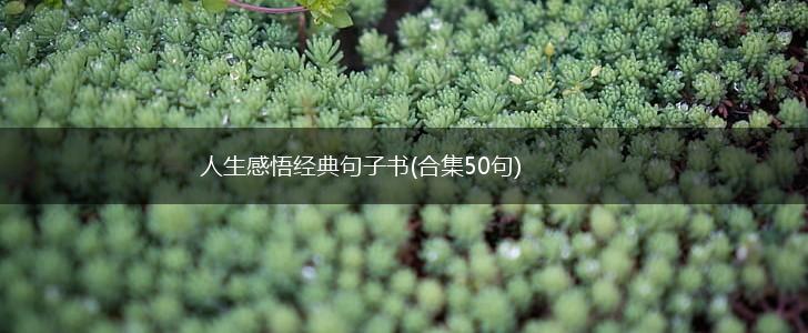 人生感悟经典句子书(合集50句),第1张