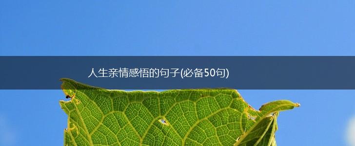 人生亲情感悟的句子(必备50句),第1张