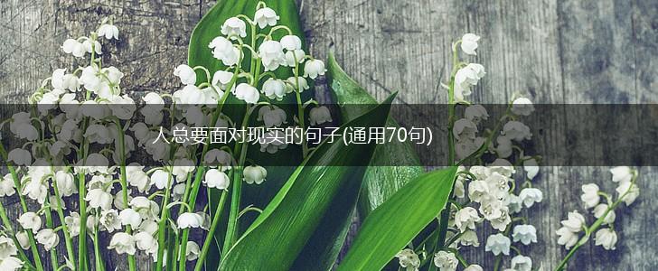 人总要面对现实的句子(通用70句),第1张