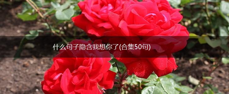 什么句子隐含我想你了(合集50句),第1张