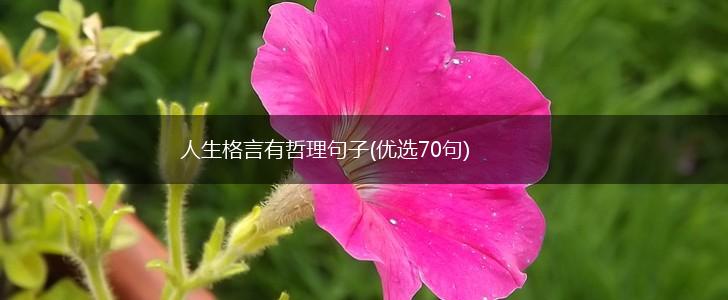 人生格言有哲理句子(优选70句),第1张