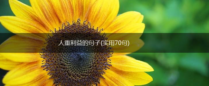 人重利益的句子(实用70句),第1张