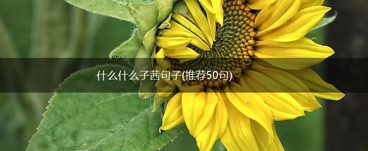 什么什么子茜句子(推荐50句),第1张