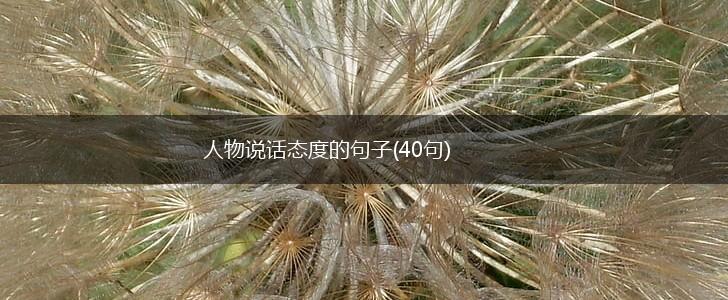 人物说话态度的句子(40句),第1张