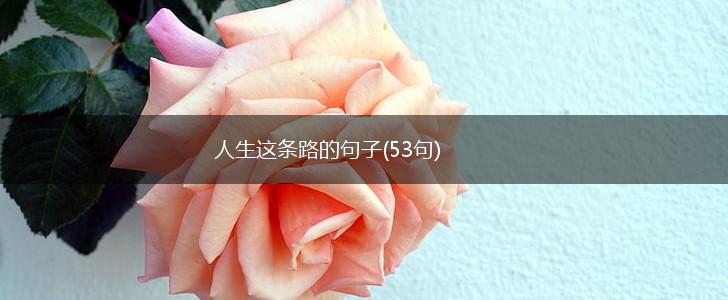 人生这条路的句子(53句),第1张