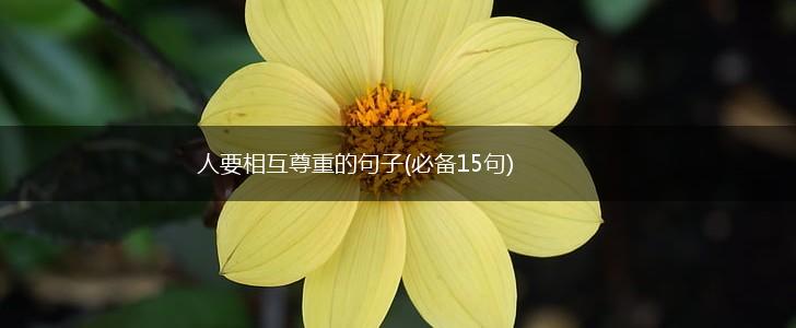 人要相互尊重的句子(必备15句),第1张