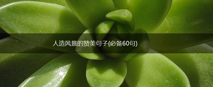 人造风景的赞美句子(必备60句),第1张
