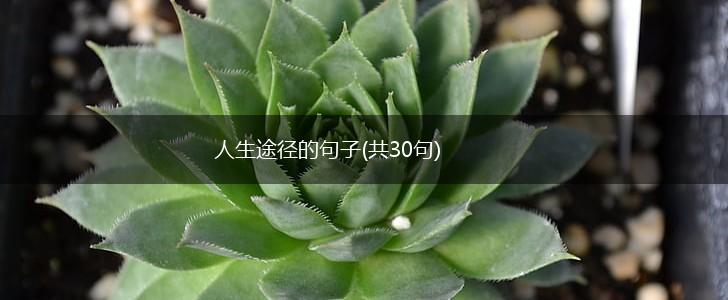 人生途径的句子(共30句),第1张