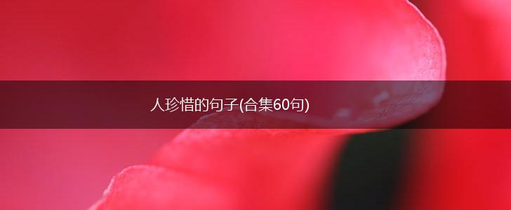 人珍惜的句子(合集60句),第1张