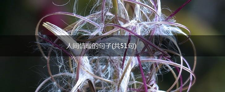人间情暖的句子(共51句),第1张