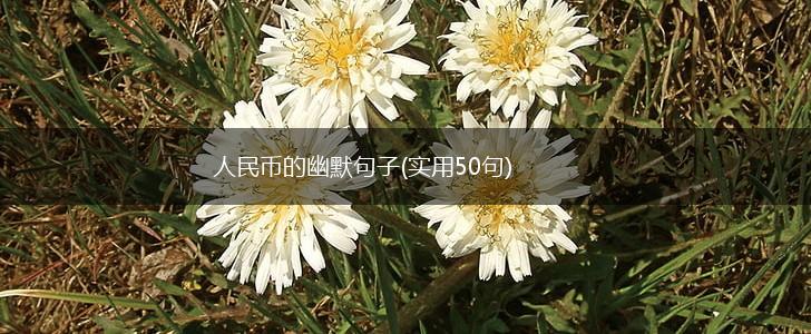 人民币的幽默句子(实用50句),第1张