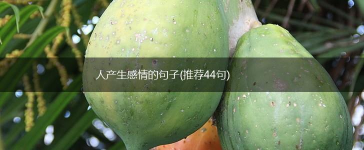 人产生感情的句子(推荐44句),第1张