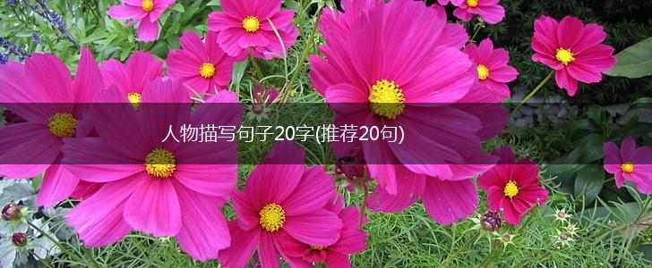 人物描写句子20字(推荐20句),第1张