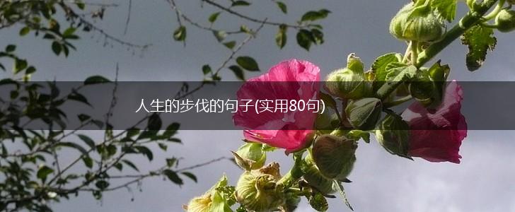 人生的步伐的句子(实用80句),第1张
