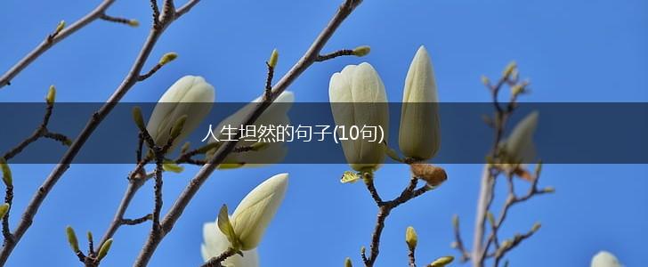 人生坦然的句子(10句),第1张