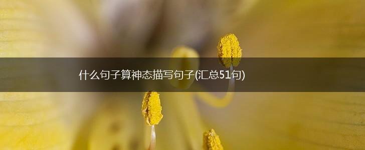 什么句子算神态描写句子(汇总51句),第1张