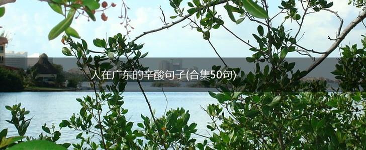 人在广东的辛酸句子(合集50句),第1张