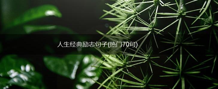 人生经典励志句子(热门70句),第1张 人生经典励志句子(热门70句),第1张