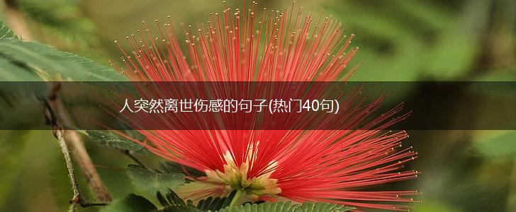 人突然离世伤感的句子(热门40句),第1张