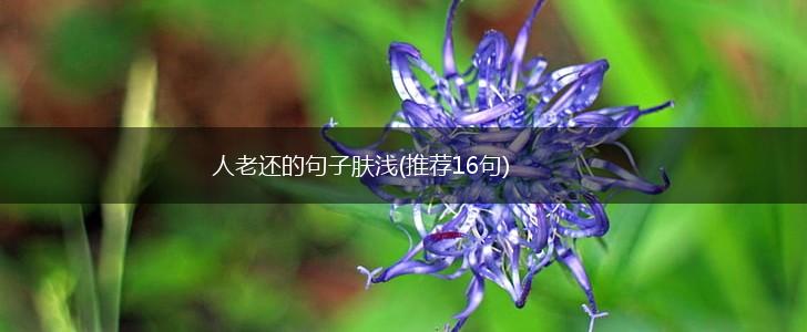 人老还的句子肤浅(推荐16句),第1张