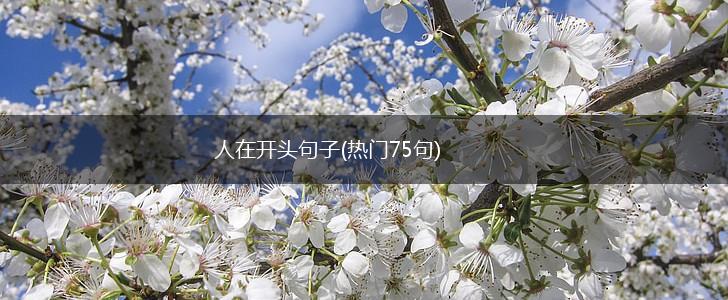 人在开头句子(热门75句),第1张