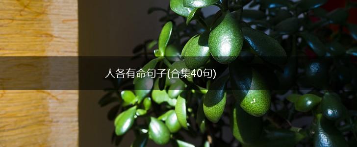 人各有命句子(合集40句),第1张