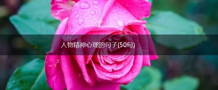 人物精神心理的句子(50句),第1张