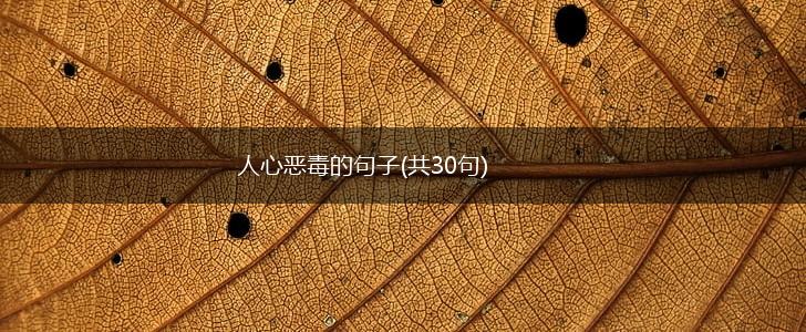 人心恶毒的句子(共30句),第1张