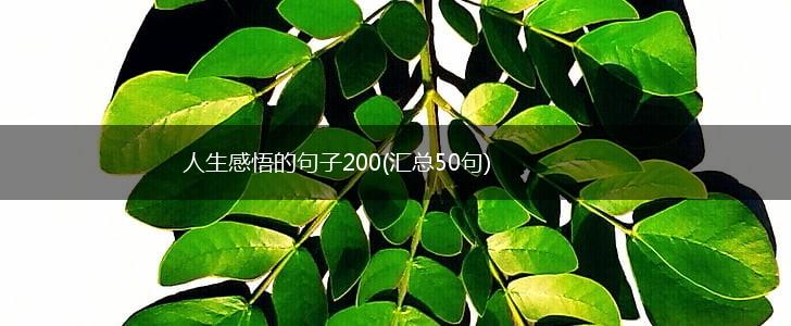 人生感悟的句子200(汇总50句),第1张