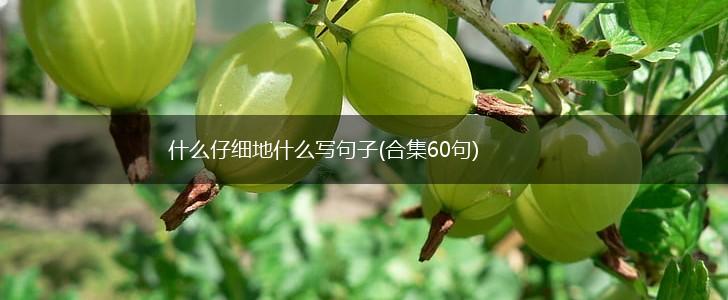 什么仔细地什么写句子(合集60句),第1张